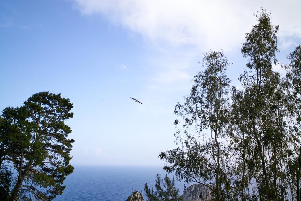 Villacore Capri Habitación foto